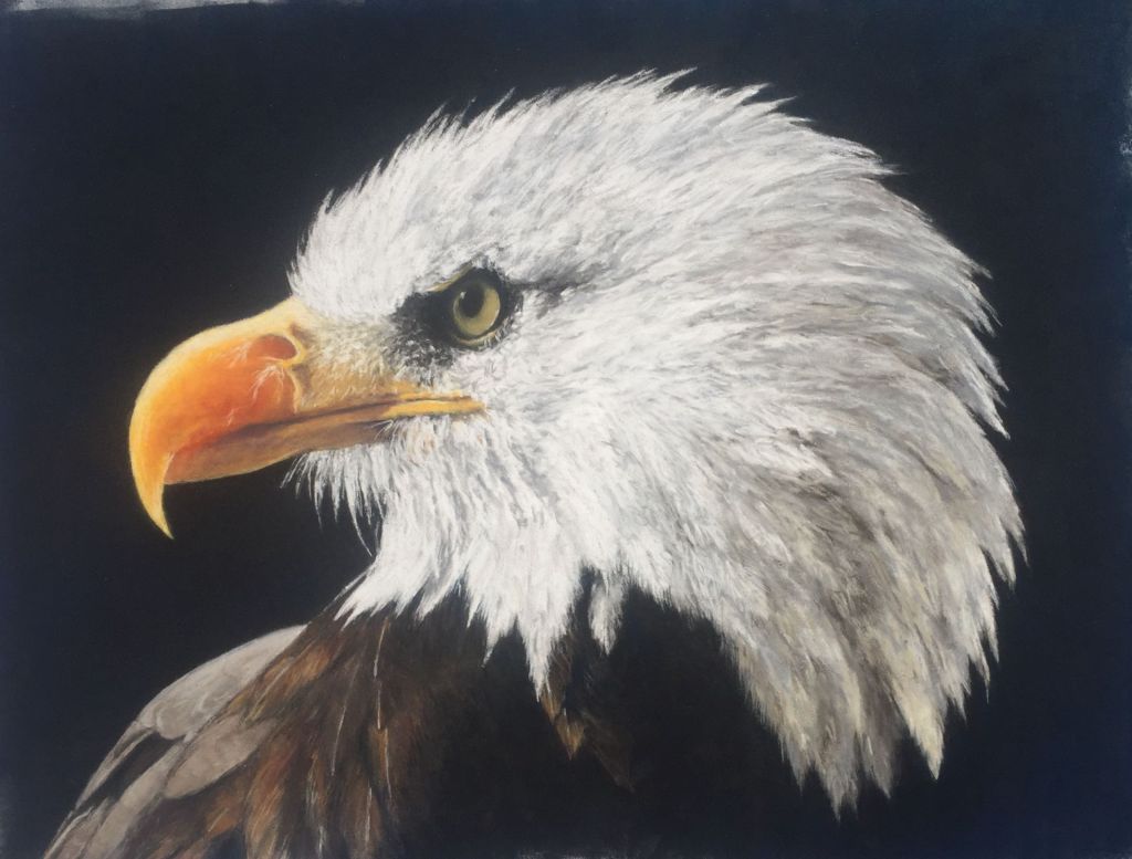 Pastel artwork of an eagle with intense gaze and detailed feathers, evoking natural strength.