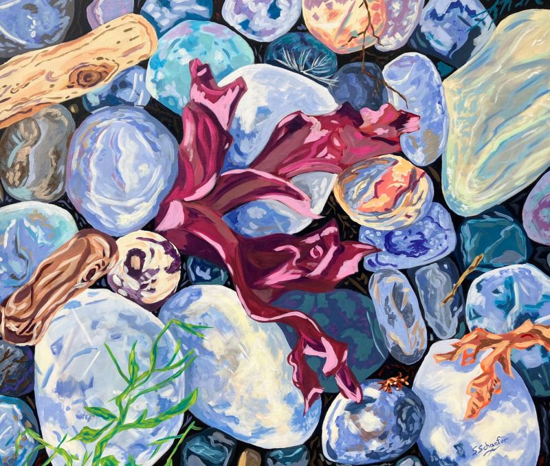 A close-up of a rocky shoreline with smooth stones in earthy tones, evoking a tactile beach environment.